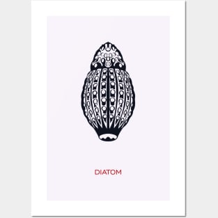 Diatom Posters and Art